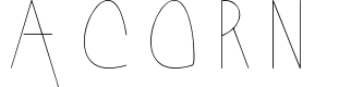 Acorn