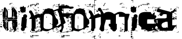 Hiroformica
