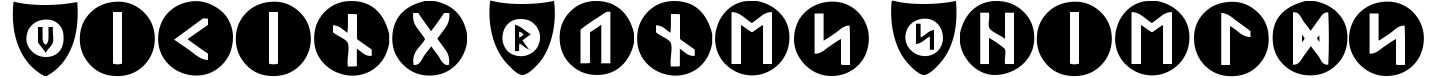 Viking Runes Shields