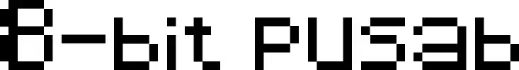 8-bit pusab