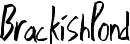 BrackishPond