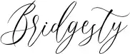 Bridgesty