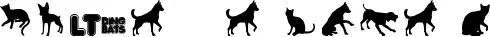 Cats vs Dogs LT