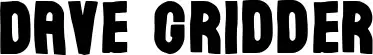 Dave Gridder