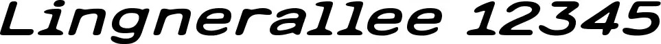 Lingnerallee 12345