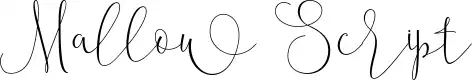 Mallow Script