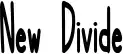 New Divide