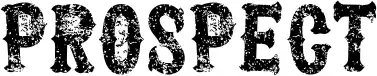 Prospect