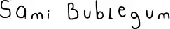 Sami Bublegum