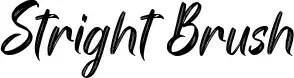 Stright Brush