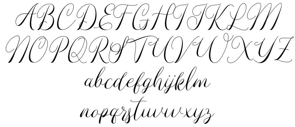 Umbrella Scriptfont specimens